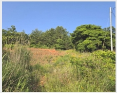  2025Ÿ��50479 ���� �ϵ��� ������ �� 133-4      ����(��1)���