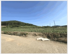  2025Ÿ��50503 ���� �س��� ������ ������ 228      ����(��1)���