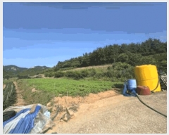  2025Ÿ��50503 ���� �س��� ������ ������ 228      ����(��1)���