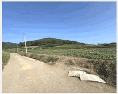  2025Ÿ��50503 ���� �س��� ������ ������ 228      ����(��1)���