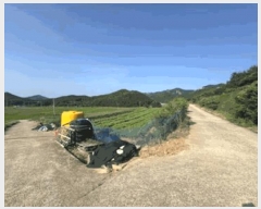  2025Ÿ��50503 ���� �س��� ������ ������ 228      ����(��1)���