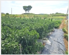  2025Ÿ��50503 ���� �س��� ������ ������ 228      ����(��1)���