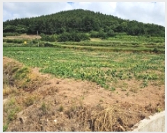  2025Ÿ��50503 ���� �س��� ������ ������ 228      ����(��1)���