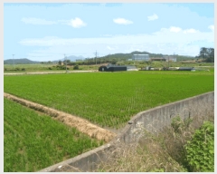  2025Ÿ��50508  ���ð��