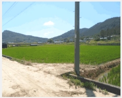  2025Ÿ��50508  ���ð��