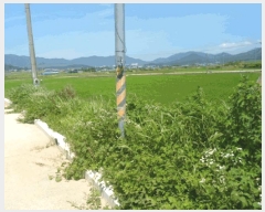  2025Ÿ��50508  ���ð��