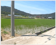  2025Ÿ��50508  ���ð��