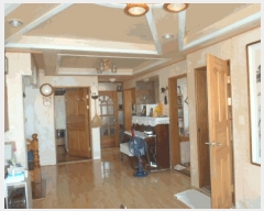  2025Ÿ��50508  ���ð��