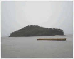  2025Ÿ��50511 ���� �س��� ������ ����� ��50-1      ����(�Ӿ�)���