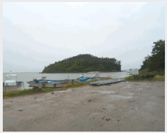  2025Ÿ��50511 ���� �س��� ������ ����� ��50-1      ����(�Ӿ�)���