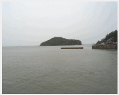  2025Ÿ��50511 ���� �س��� ������ ����� ��50-1      ����(�Ӿ�)���