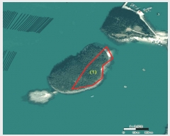  2025Ÿ��50511 ���� �س��� ������ ����� ��50-1      ����(�Ӿ�)���