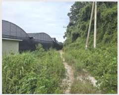  2025Ÿ��50552  �������