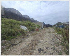  2025Ÿ��50552  �������