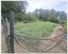  2025Ÿ��50552  �������