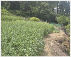  2025Ÿ��50552  �������