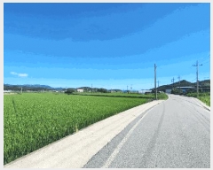  2025Ÿ��50563 ���� �س��� ������ �а��� 271-1      ����(��1)���