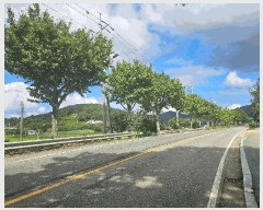  2025Ÿ��50595 ���� ������ ������ ������ 885-5      ����(��)���