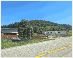  2025Ÿ��50641 ���� �ϵ��� ���ܸ� ��ǳ�� 131-7      ����(������)���