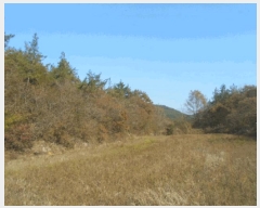  2025Ÿ��50694  �Ӿ߰��