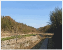  2025Ÿ��50694  �Ӿ߰��