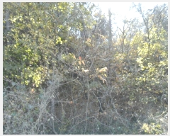  2025Ÿ��50694  �Ӿ߰��