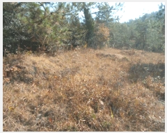  2025Ÿ��50694  �Ӿ߰��