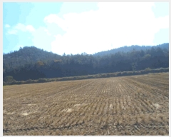  2025Ÿ��50694  �Ӿ߰��