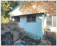  2025Ÿ��50695 ���� �ϵ��� ������ ôġ�� 1141      ���ð��