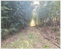  2025Ÿ��518  �����