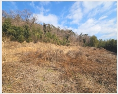  2025Ÿ��518  �����