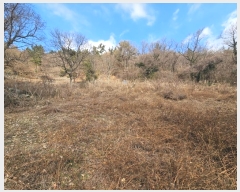  2025Ÿ��518  �����