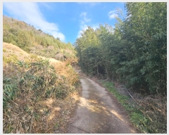  2025Ÿ��518  �����