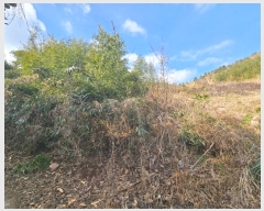  2025Ÿ��518  �����