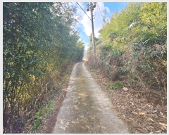  2025Ÿ��518  �����