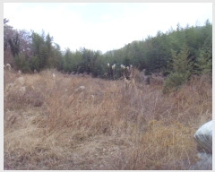  2025Ÿ��518  �����