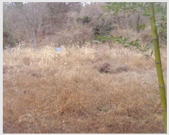  2025Ÿ��518  �����