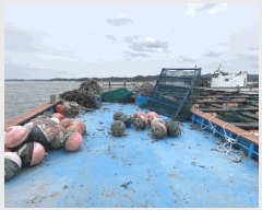  2025Ÿ570   ŵ        ڰ