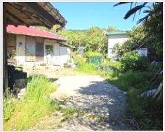  2025Ÿ��1023 ���� ������ ����� ������ 66      ���ð��