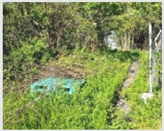  2025Ÿ��1023 ���� ������ ����� ������ 66      ���ð��