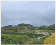  2025Ÿ��1153  �Ӿ߰��