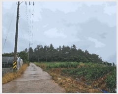  2025Ÿ��1153  �Ӿ߰��