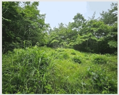  2025Ÿ��1153  �Ӿ߰��