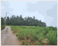  2025Ÿ��1153  �Ӿ߰��