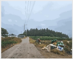  2025Ÿ��1153  �Ӿ߰��