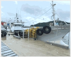  2025Ÿ1283  ȸ         ڰ