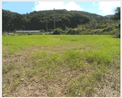  2025Ÿ��1443 ���� �ϵ��� �ϵ��� ��߸� 757      ����(��)���