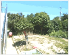  2025Ÿ��1443 ���� �ϵ��� �ϵ��� ��߸� 757      ����(��)���