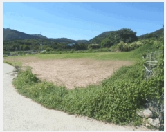  2025Ÿ��1443 ���� �ϵ��� �ϵ��� ��߸� 757      ����(��)���