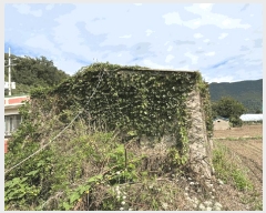  2025Ÿ��1481  �����